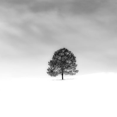 ApriL_RL_'s profile picture. Rocket league freestyler