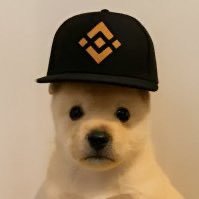 pupXbn's profile picture. bnb upside down is PUP! TG: https://t.co/M6ATUK1dc8 🐶SPUP: 0x73b84f7e3901f39fc29f3704a03126d317ab4444
