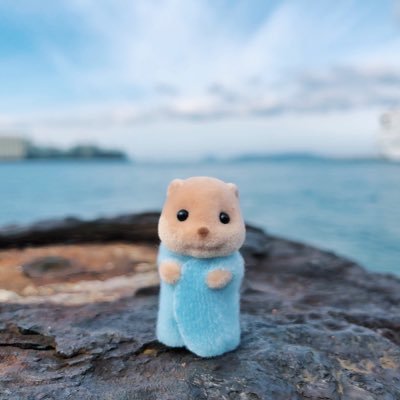 しもさんのプロフィール画像