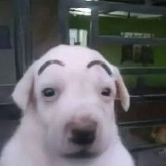 BINGSTREAN's profile picture. things are happening and i do not quite like it so you’re gonna hear about it