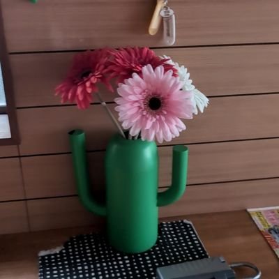 fCaWJmAPiz36069's profile picture. 趣味∶孫のお世話