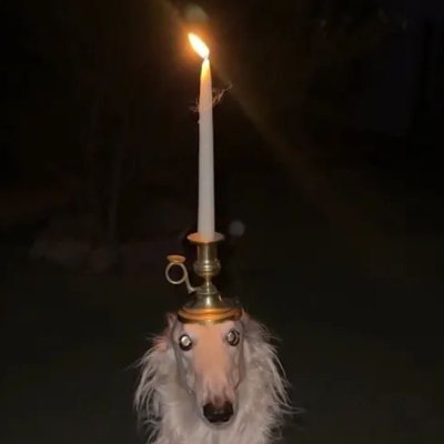 lesbianflanker's profile picture. nsfw/proship/darkship/all-that-nasty-shit dni or i kill you