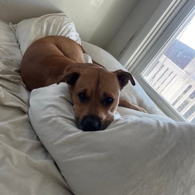 NalaSaysss's profile picture. I have an X account to follow world events hourly. What a fun time to be alive.