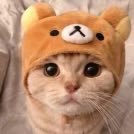 MoonieBruh's profile picture. Natin 2 Krazy