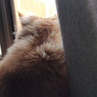 whyevenbotherla's profile picture. a miracle in its truest sense. To be a thing that knows it's a thing. Matter that knows what matter is.
