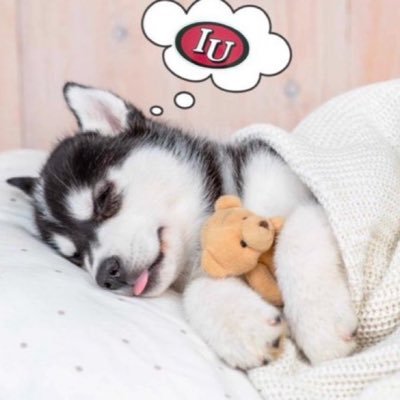 Codi_Hopper's profile picture. IU ‘20 | Indiana ✈️ Boston