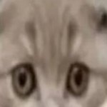 vmjabroni's profile picture. 