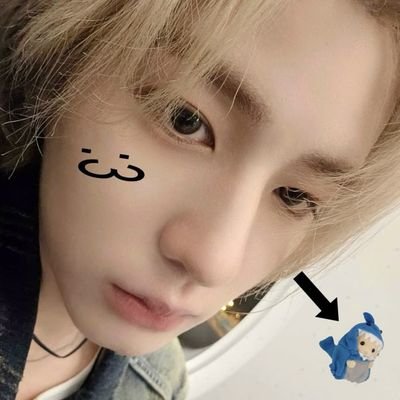 andyyemo's profile picture. 🪼  🦑   🦐   🐠   👽   🐚