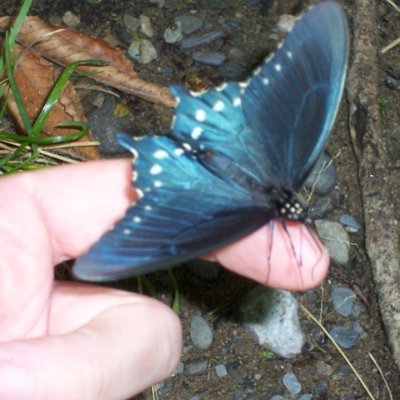 heartlikehome's profile picture. 𝚊 𝚙𝚑𝚘𝚝𝚘 𝚓𝚘𝚞𝚛𝚗𝚊𝚕