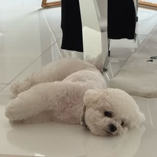 chaeunwooworld's profile picture. 