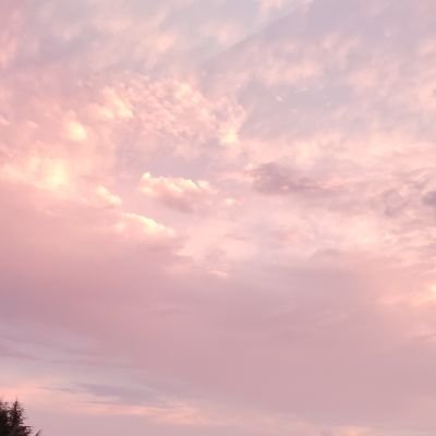 6Cp12's profile picture. rom