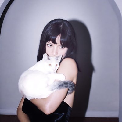 bladewhisperr's profile picture. is it that sweet? i guess so