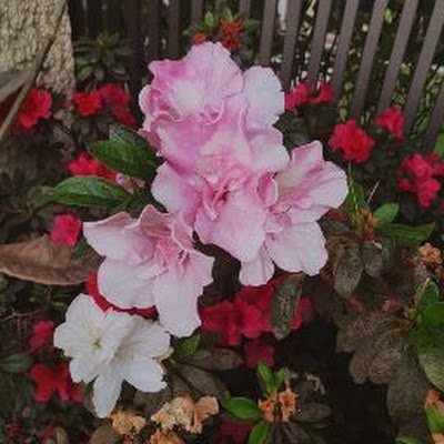 DianaMartn85898's profile picture. 