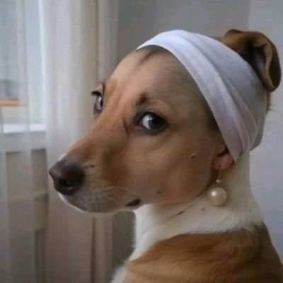 itsme0ca's profile picture. 00L 
🐣