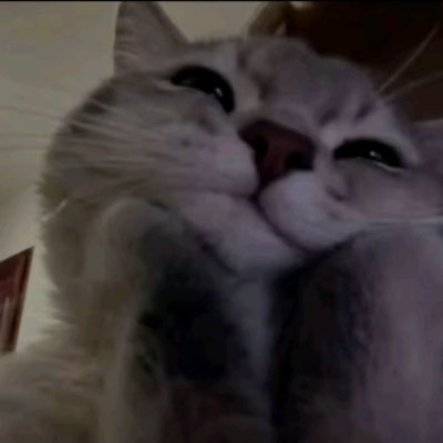 cerao48's profile picture. 