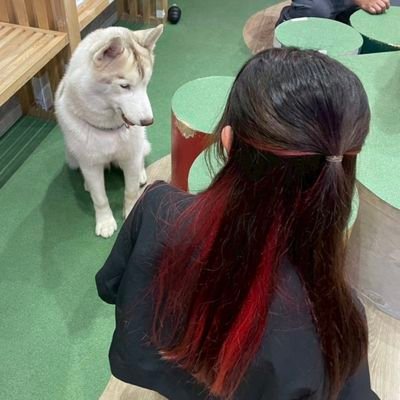 5jqdToakoI29272's profile picture. 🚺┊︎06er┊︎ろまぽる2日目参戦