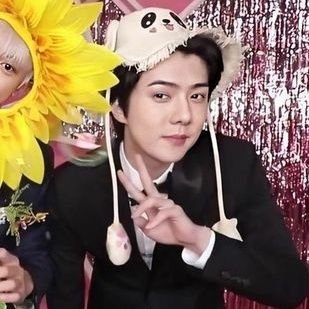 aishisehunteru's profile picture. only exo-l | starberry ✨️🫐 | 24