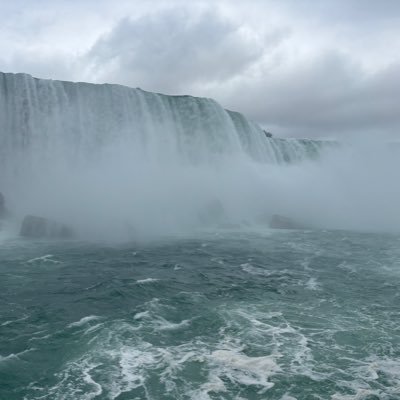 WireWho's profile picture. 