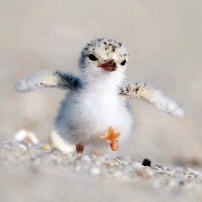 ketumotooeou's profile picture. パチスロ上手い人仲良くしてください🤗