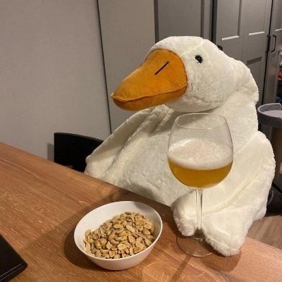 Techncal_Bird's profile picture. 初心者向けにテクニカルの基礎を発信●●(基本平日・

不定期) 徐々に中級者~上級者向けの発信もしていき

ます ✍️