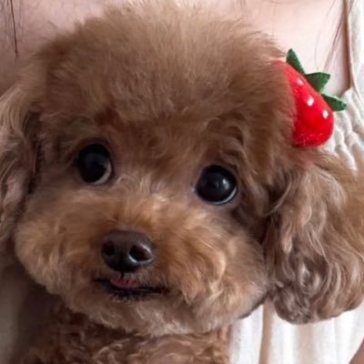 sseariouslyy's profile picture. here to love 🌊 @sea_tawinan 🩵 🍅@kasibook 💚