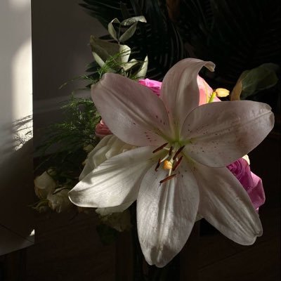 m_20lll's profile picture. 