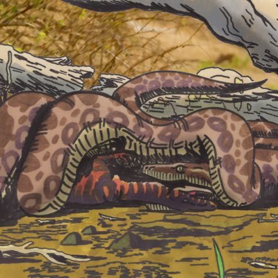 madtsoiaTDN's profile picture. 動物全般(特に爬虫類と昆虫類)や古生物が好きで勉強中です！ワニとヘビ、大型獣脚類がお気に入り。やってるゲームはArk、path of titans色々