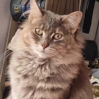 Iker_24_7's profile picture. 🌧🌧🌧⛈️⛈️⛈️⛈️🌩🌩🌩🌩🌩📓👨‍⚖️