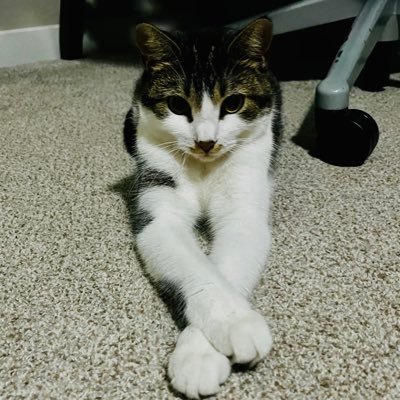 nileshbutala's profile picture. Learning Investing Sharing