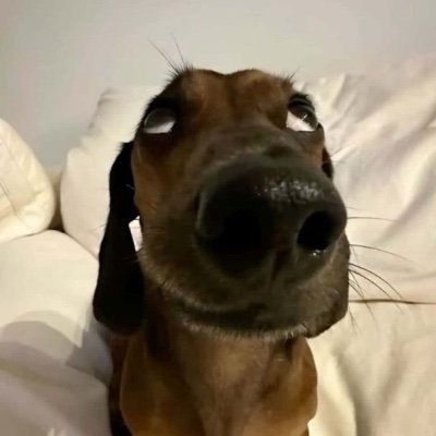 aamantedaluaa's profile picture. 