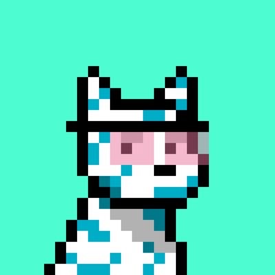 Community Supporter | Asst. Chief of Vibes @doginaldogsx | Building daily on X | Spaces host 7pm EST