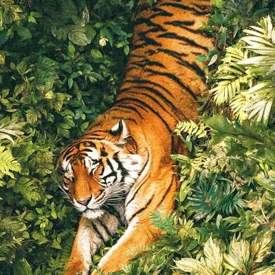 @Aditya_nakamoto