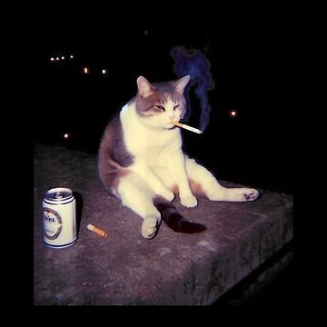 MkgG35's profile picture. 