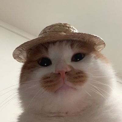 Verodibuja's profile picture. Saving up to buy my kitties' food 🐱🐱🐱🐱✨️

main account: @cherrylahorny
✨️21