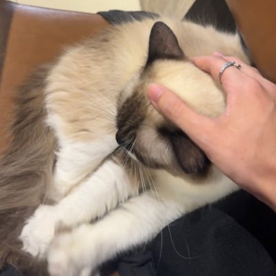 Susabbach's profile picture. 交大 男的 其他我想到再打 我不管啦想到就發