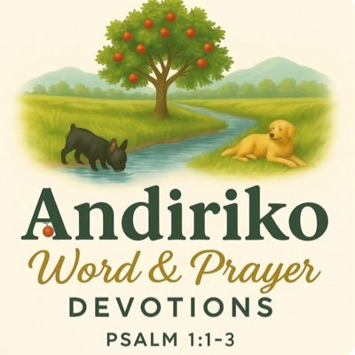 andirikon's profile picture. 