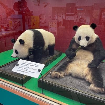 MrMrsPOTATOHEAD's profile picture. 動物園好き。動物園まわってます。時々ツイート。10月28日はパンダの日！