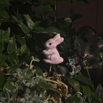 rabb1thearted's profile picture. cunt | she/her | 21