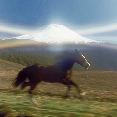 CondorGondor's profile picture. Herald of the Overman