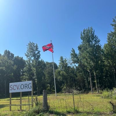 kingofmphs's profile picture. X is better than Twitter!