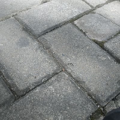 mellofllow34054's profile picture. 