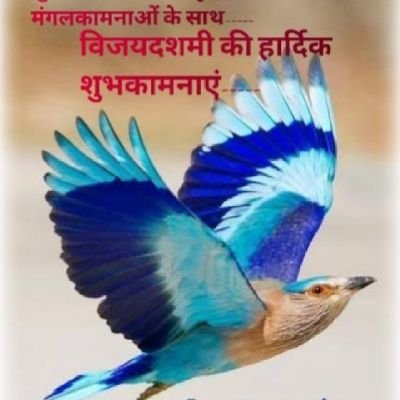 VimalKu94822962's profile picture. 