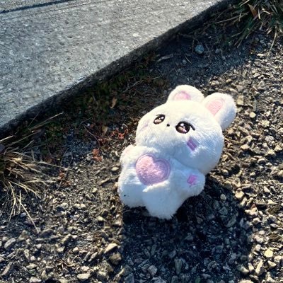 rabbotpie's profile picture. it’s all the same to me! 🦢😇 18+