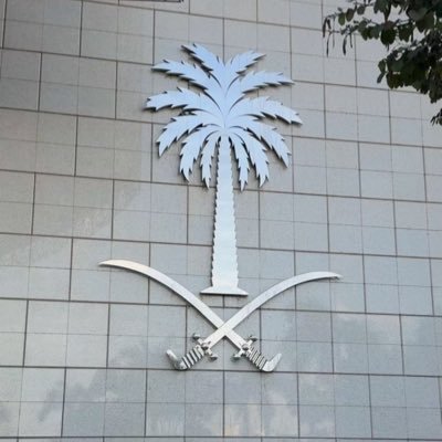 ds_wa1's profile picture. اللهم دربًا لا أَضلُّ فيه ولا أَشقى .