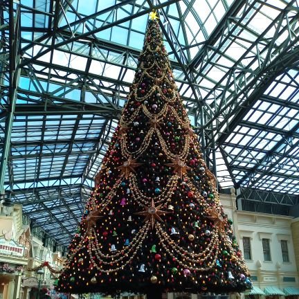 AnyFmu's profile picture. 息子が始めているのを見て
私も投資を始めたアラフィフです(〃･ω･〃)✨

老後のために
少しずつコツコツ投資中📈

まだまだ初心者なので
いろんな投資に挑戦したいな(´︶`)

無言フォローOKです🙏
よろしくお願いします✨