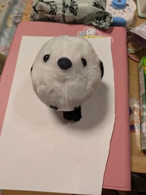 QfzhwWUKKI95635's profile picture. 推し活用にアカウント作りました。シマエナガ好き40代主婦です。中1男子と小1女子の2人の子供がいます。よろしくお願いします✨