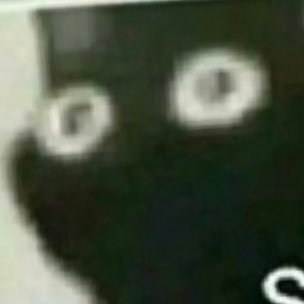 Aylixoo's profile picture. ꧁⎝ 𓆩༺✧༻𓆪 ⎠꧂ ℝ𝕠𝕓𝕝𝕠𝕩:𝔸𝕪𝕝𝕩𝕆"𝕒𝕚𝕣𝕠𝕡𝕣𝕠𝟚𝟛𝟛𝟛" 𝕔𝕪𝕒 𝕪𝕠𝕦 𝕥𝕙𝕖𝕣𝕖:𝔻𝕕