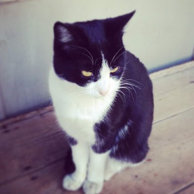 duke_ion20326's profile picture. 