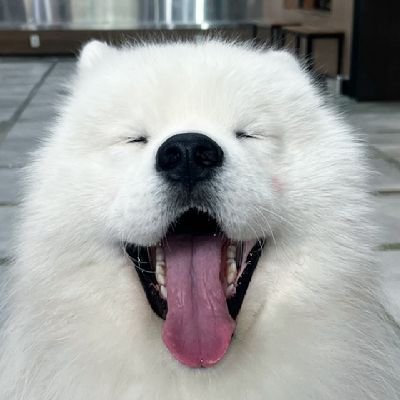 smileyofthesea's profile picture. 🎨🧁🌸🌼☀️🩷☁️🧸🍦🌈