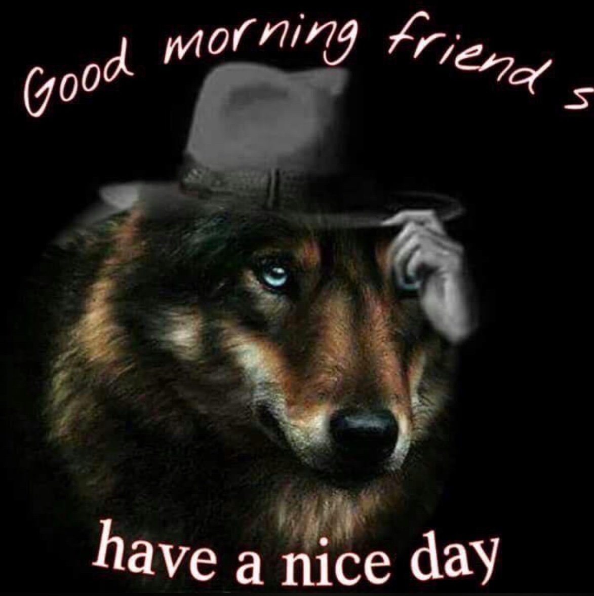 void_of_cours's profile picture. personal project: people pleasure porn politics philosophy performance poetry prose praxis plenty puns penii pussies punk poor proletariat plz proceed! 🔞